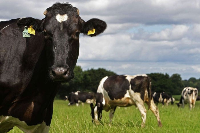 farm-refrigeration